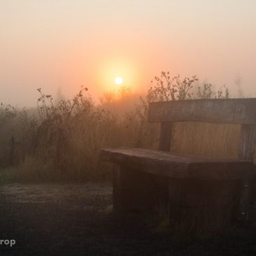 Zonsopkomst Groote Peel 02-09-2018